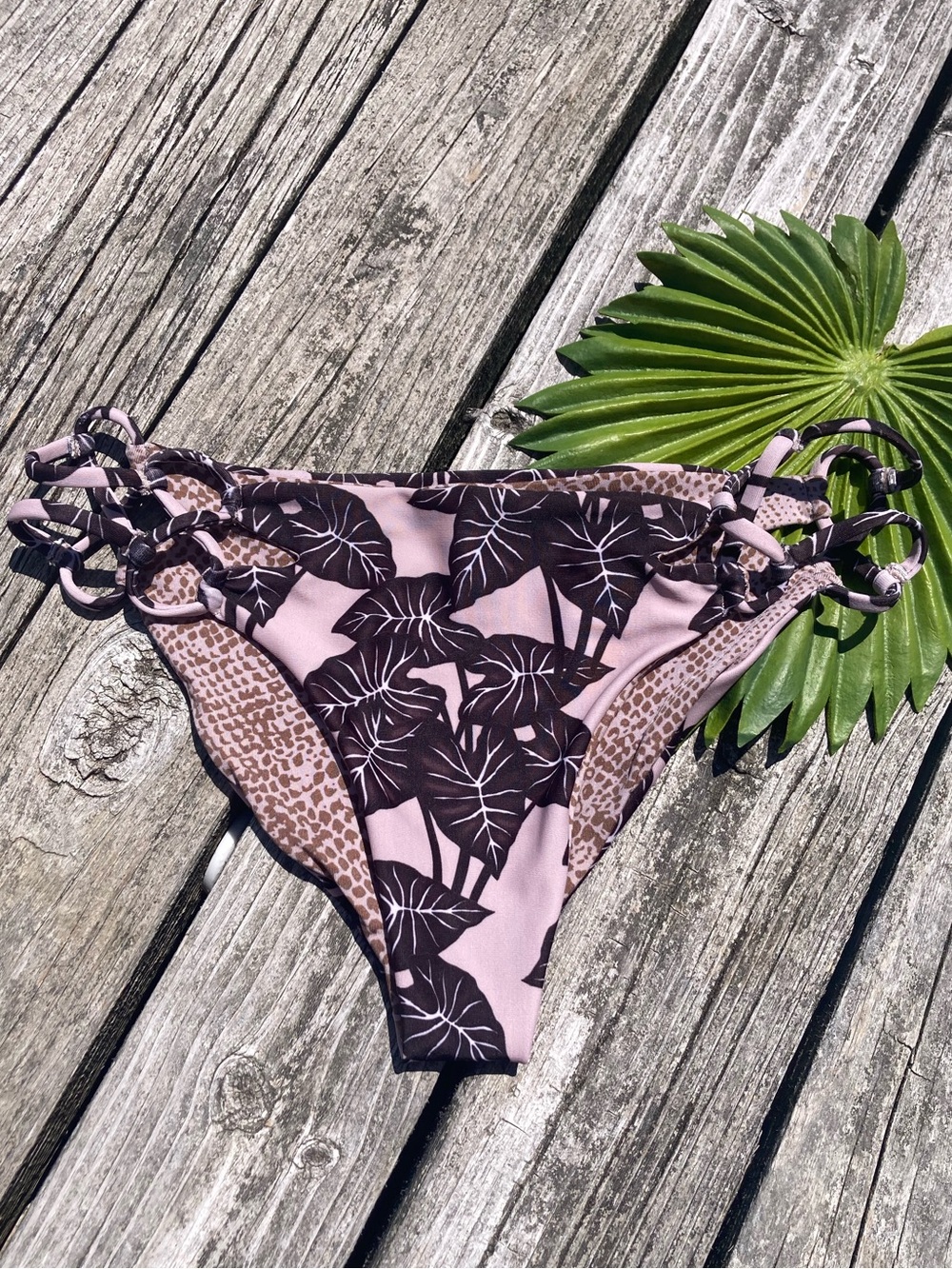 ACACIA - Nusa Cheeky Bikini Bottom in Black Elephant Ear - S